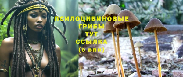 MDMA Premium VHQ Осинники