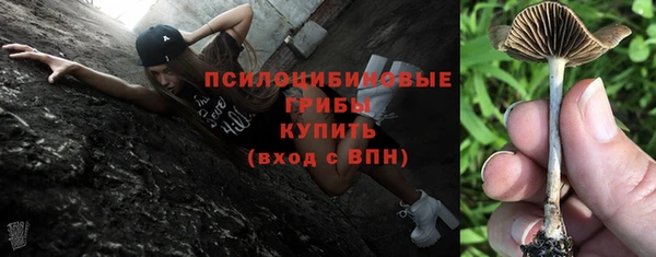 амф Няндома